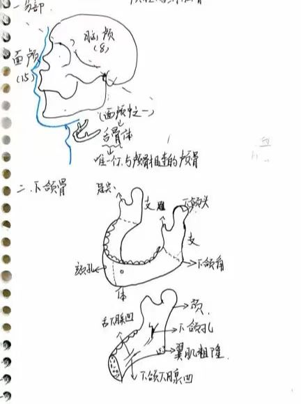 微信圖片_20241201204005.jpg